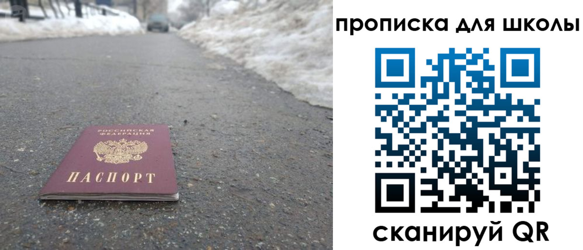 прописка для школы в Лыткарино